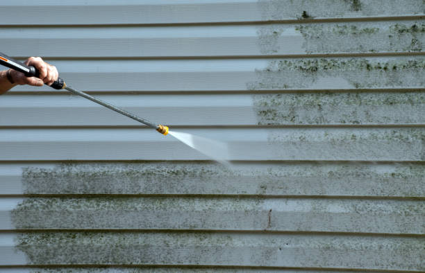 Best Window and Screen Pressure Cleaning in Batesville, MS