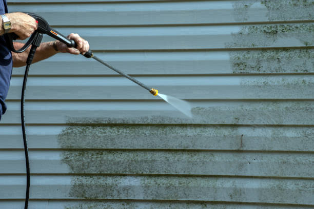 Best Soft Washing for Delicate Surfaces in Batesville, MS